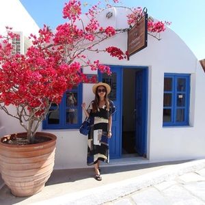 Aritzia Babaton midi Printed Shift Dress Size XXS